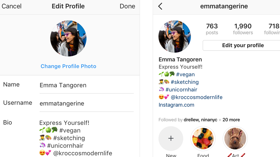 500 Best Instagram Bio For Girls Attitude Instagram Bio For