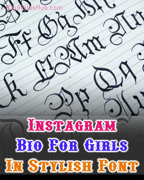Instagram Bio For Girl In Stylish Font