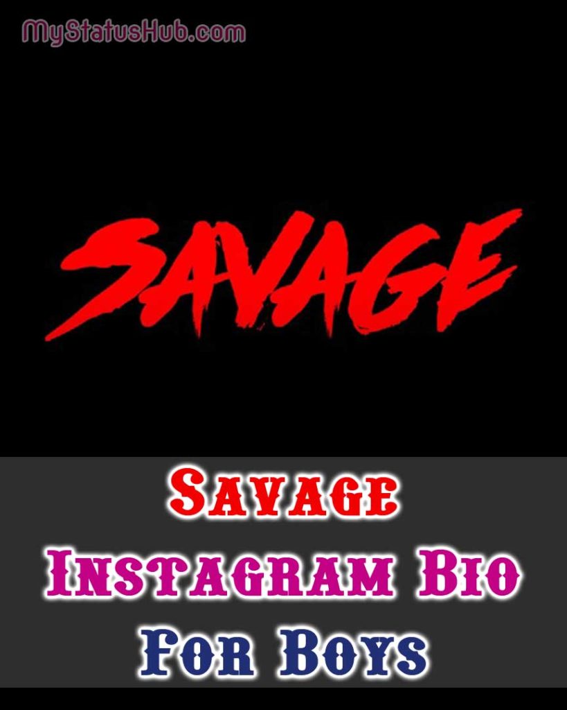 Savage Instagram Bio for Boys