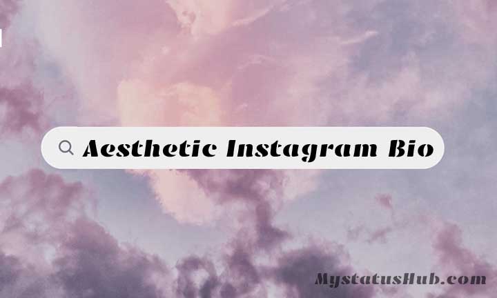 Aesthetic Bio For Instagram