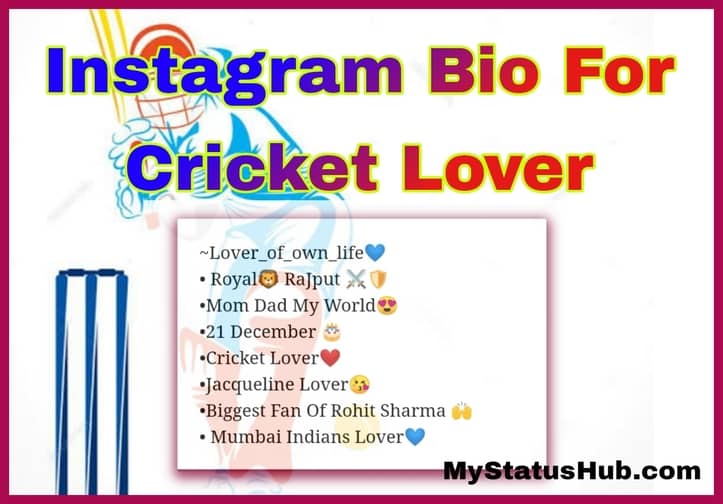 Instagram bio for cricket lovers